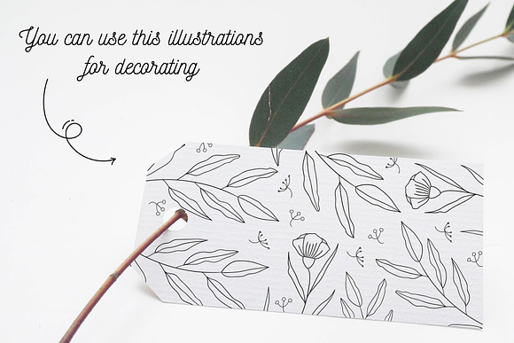 110 Hand-drawn botanical elements in Illustrations - product preview 2
