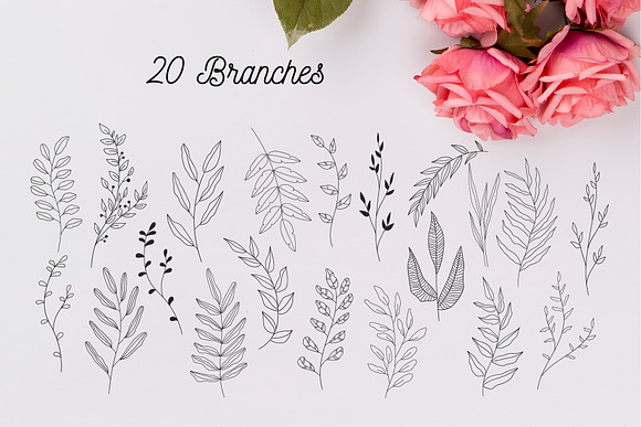 110 Hand-drawn botanical elements in Illustrations - product preview 5