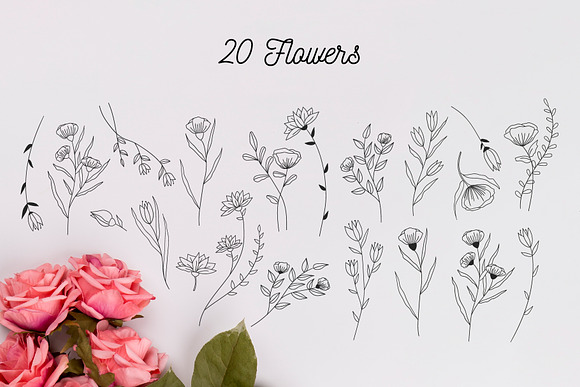 110 Hand-drawn botanical elements in Illustrations - product preview 6