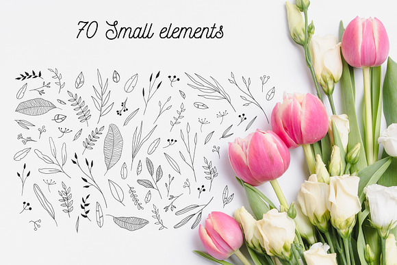 110 Hand-drawn botanical elements in Illustrations - product preview 7