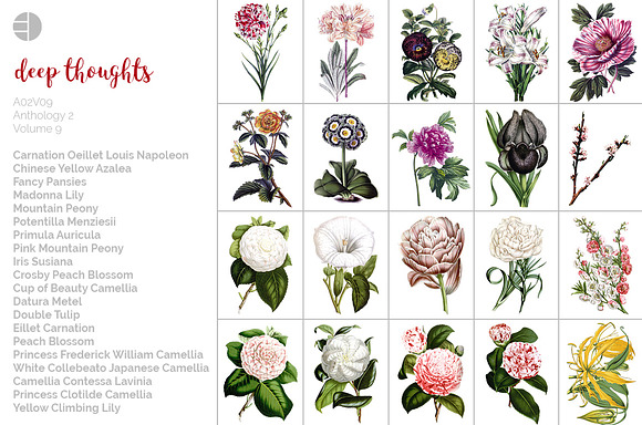 Vintage Floral Bundle Volume 09 (20) in Illustrations - product preview 6