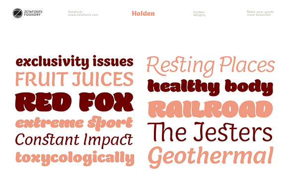 Holden - 12 fonts in Sans-Serif Fonts - product preview 2