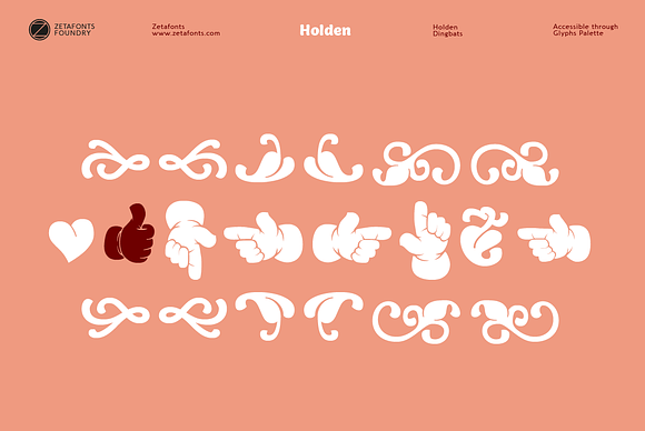 Holden - 12 fonts in Sans-Serif Fonts - product preview 4