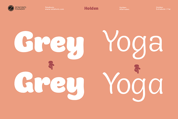 Holden - 12 fonts in Sans-Serif Fonts - product preview 6