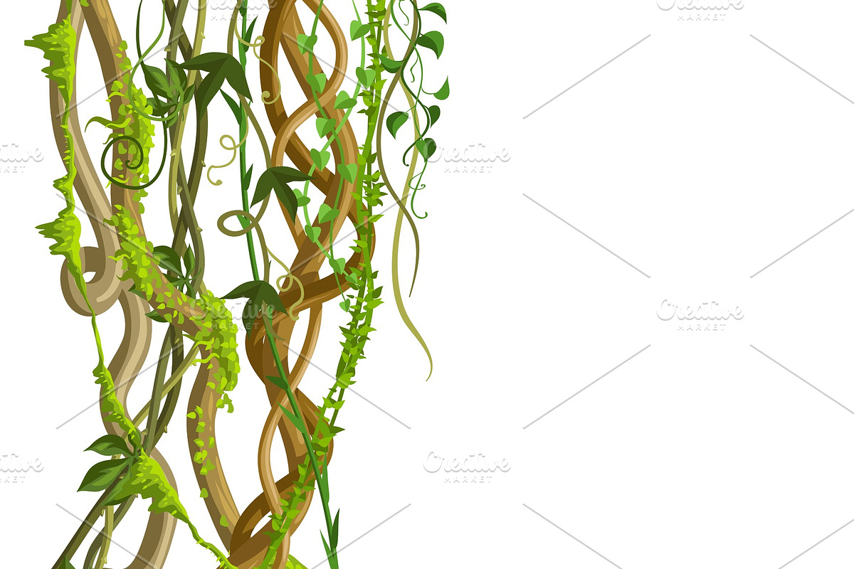 Twisted wild lianas branches banner. in Illustrations - product preview 8