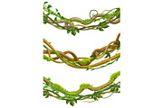 Twisted wild lianas branches set.