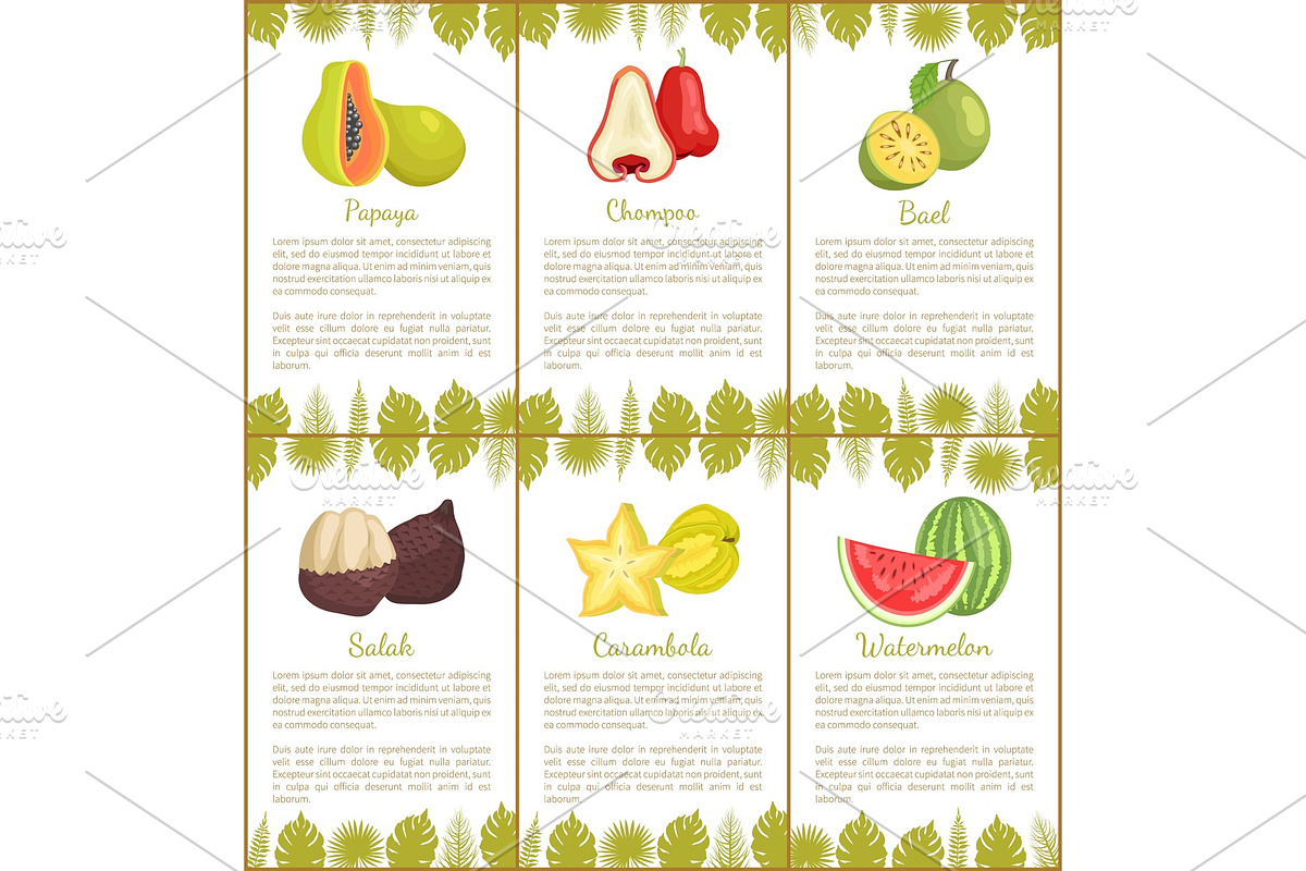 Papaya and Salak and Carambola in Illustrations - product preview 8