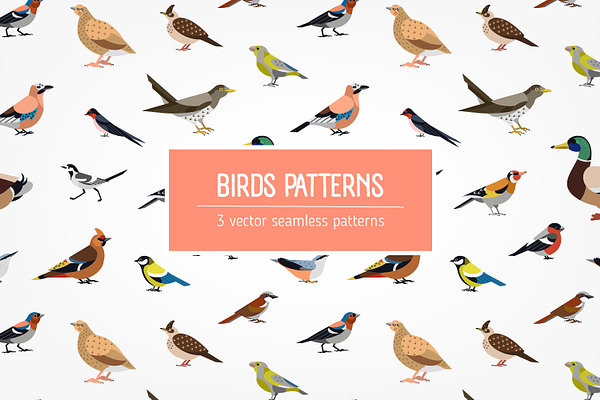 Birds seamless patterns set