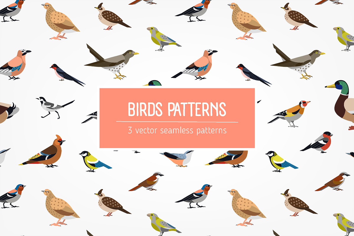 Birds seamless patterns set in Patterns - product preview 8