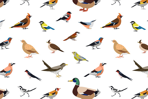 Birds seamless patterns set in Patterns - product preview 2