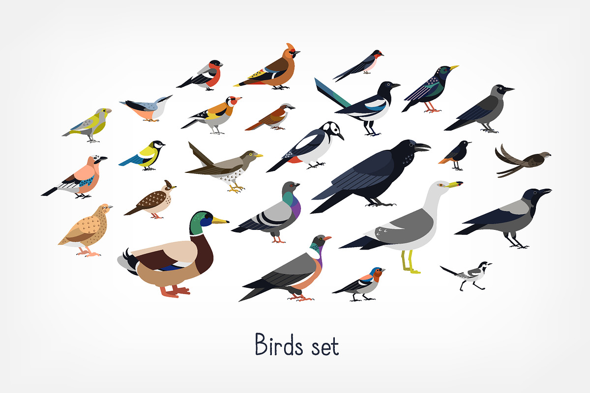 Different birds set in Illustrations - product preview 8