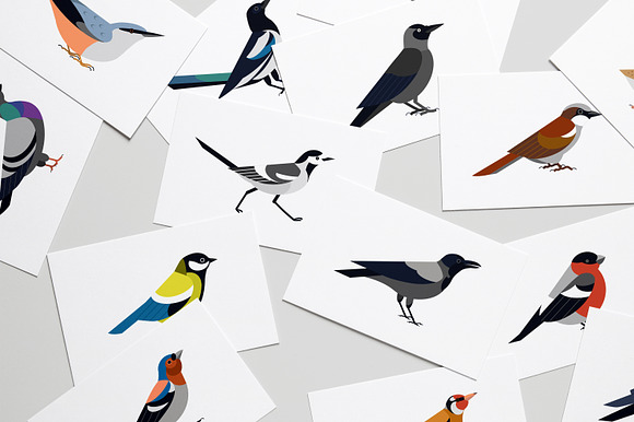 Different birds set in Illustrations - product preview 1