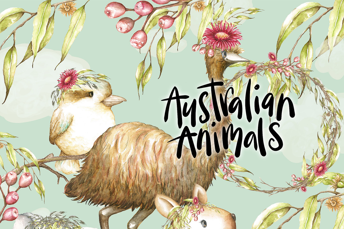 Australian Animals Clipart Watercolo in Illustrations - product preview 8