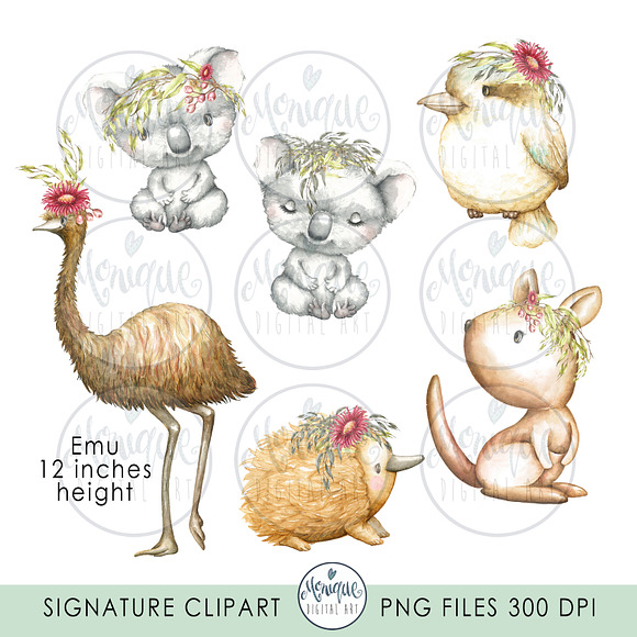 Australian Animals Clipart Watercolo in Illustrations - product preview 2