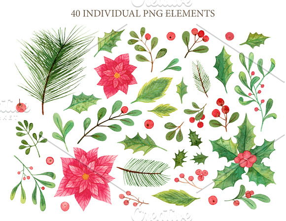 Xmas winter plants. Watercolor set in Illustrations - product preview 1