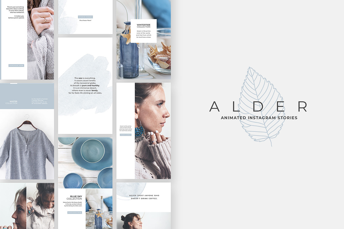 Alder Animated Instagram Stories in Instagram Templates - product preview 8