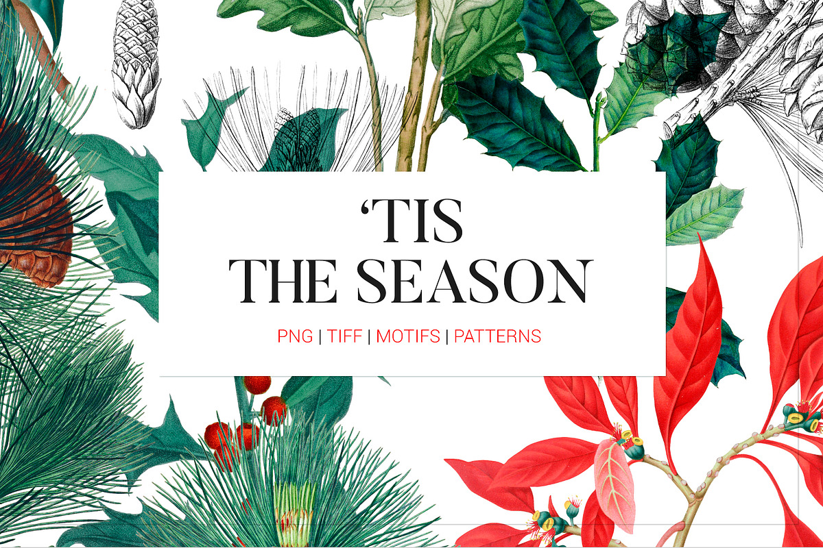 ‘Tis the season in Patterns - product preview 8
