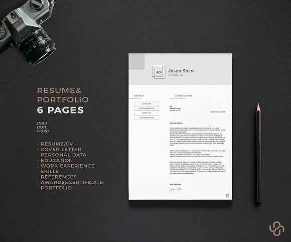 Alpha Resume Template in Resume Templates - product preview 3