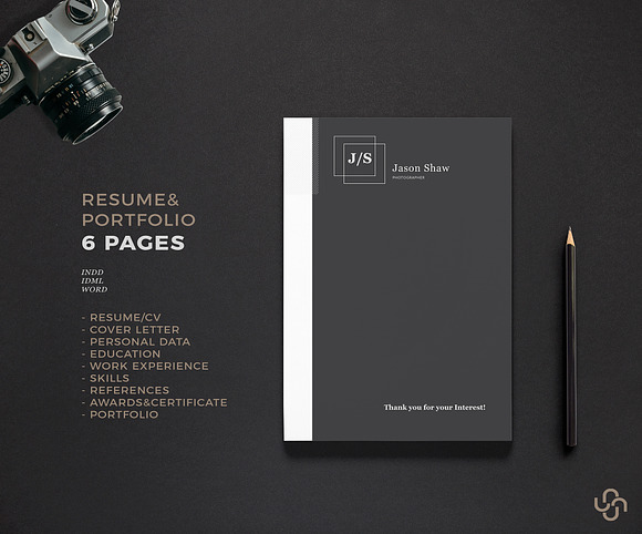 Alpha Resume Template in Resume Templates - product preview 5