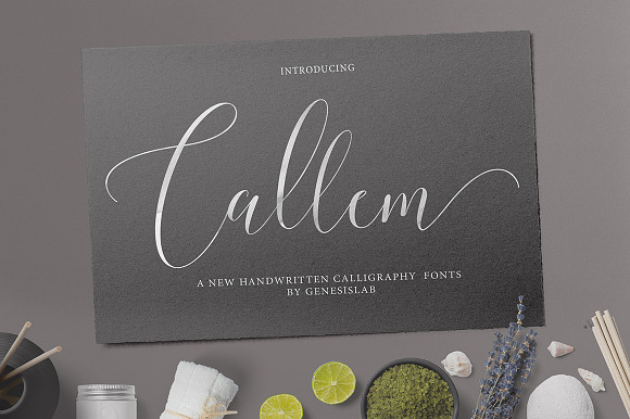 Calligrapher's  Font Bundle (98%Off) in Script Fonts - product preview 3