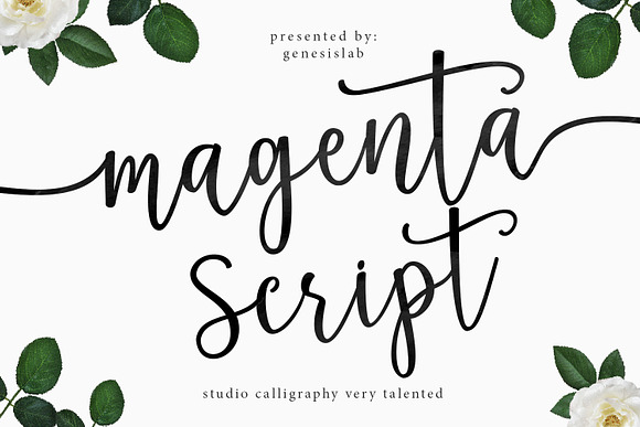 Calligrapher's  Font Bundle (98%Off) in Script Fonts - product preview 4
