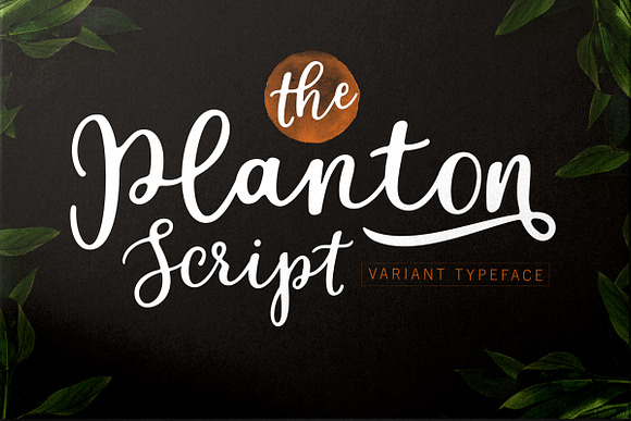 Calligrapher's  Font Bundle (98%Off) in Script Fonts - product preview 5