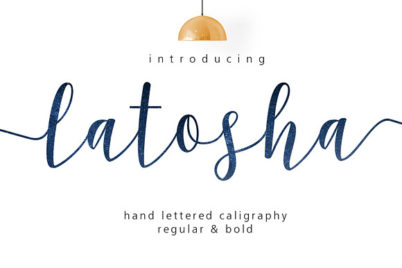 Calligrapher's  Font Bundle (98%Off) in Script Fonts - product preview 7