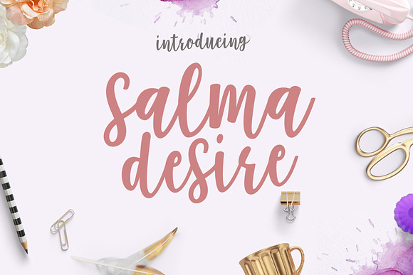 Calligrapher's  Font Bundle (98%Off) in Script Fonts - product preview 10