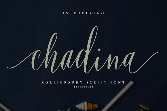 Calligrapher's  Font Bundle (98%Off) in Script Fonts - product preview 12