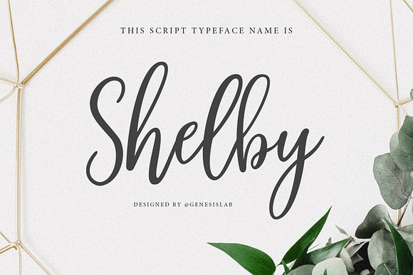 Calligrapher's  Font Bundle (98%Off) in Script Fonts - product preview 14