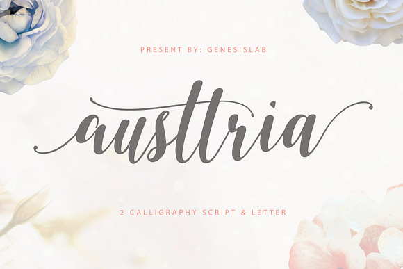 Calligrapher's  Font Bundle (98%Off) in Script Fonts - product preview 15