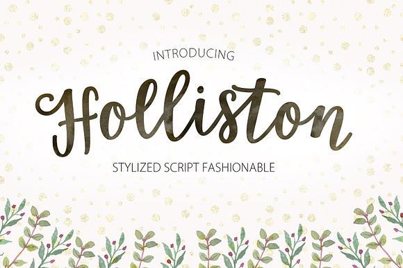 Calligrapher's  Font Bundle (98%Off) in Script Fonts - product preview 16