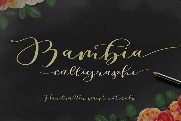 Calligrapher's  Font Bundle (98%Off) in Script Fonts - product preview 18