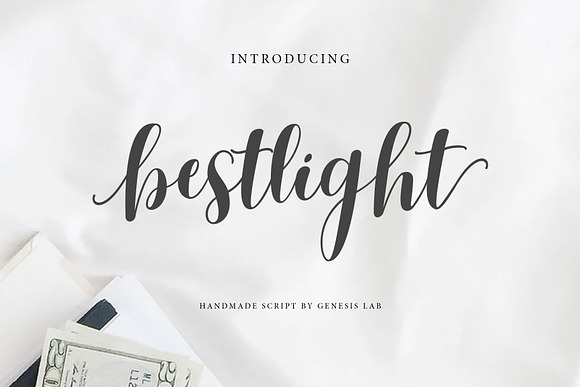 Calligrapher's  Font Bundle (98%Off) in Script Fonts - product preview 19