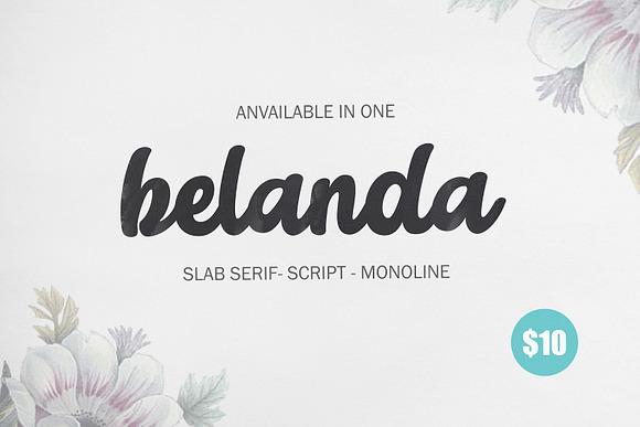 Calligrapher's  Font Bundle (98%Off) in Script Fonts - product preview 20