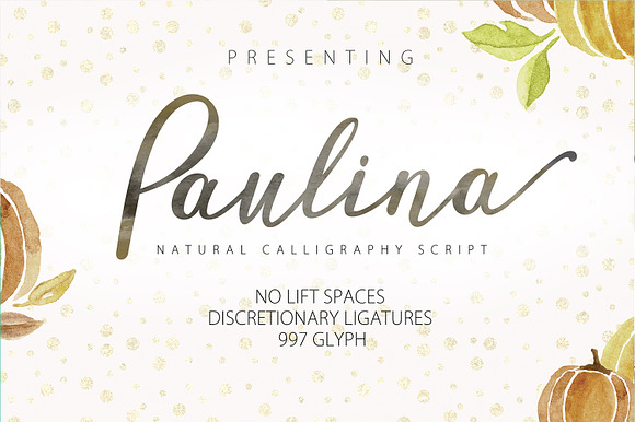 Calligrapher's  Font Bundle (98%Off) in Script Fonts - product preview 30