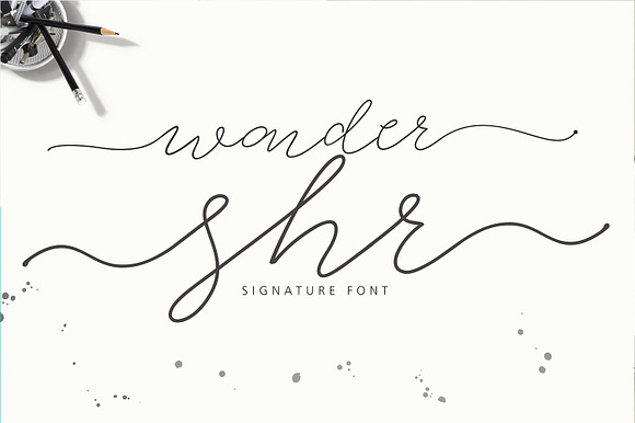 Calligrapher's  Font Bundle (98%Off) in Script Fonts - product preview 36