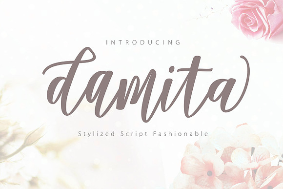 Calligrapher's  Font Bundle (98%Off) in Script Fonts - product preview 38