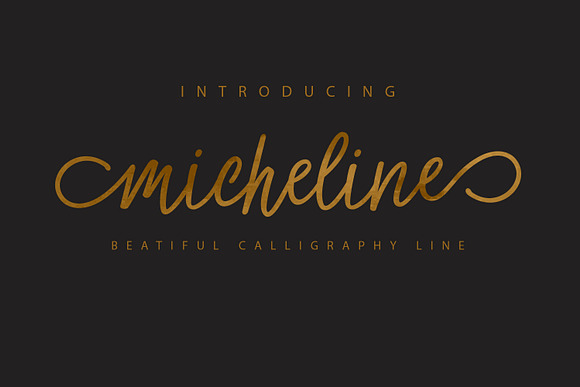 Calligrapher's  Font Bundle (98%Off) in Script Fonts - product preview 39