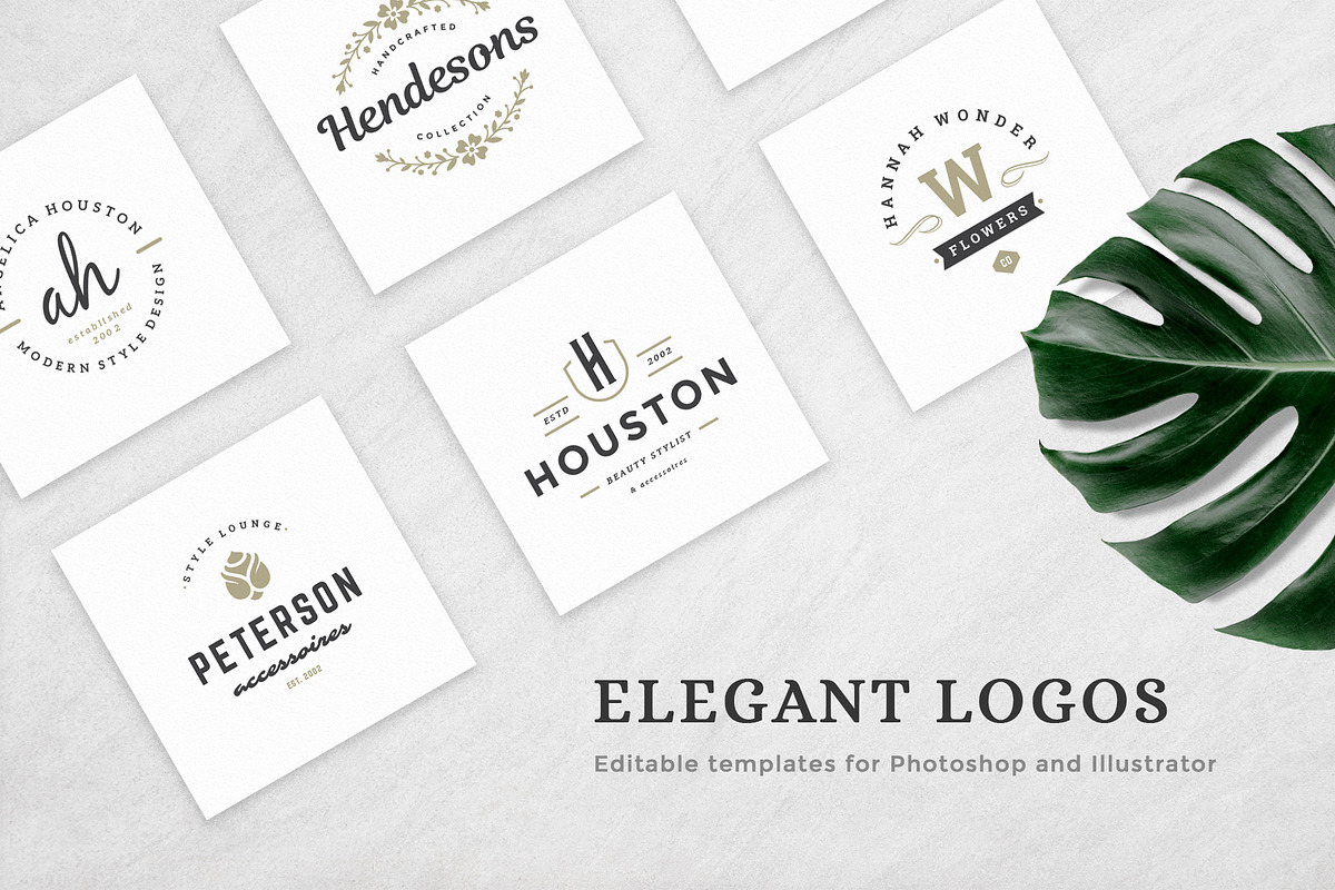 Elegant Logos Bundle in Logo Templates - product preview 8