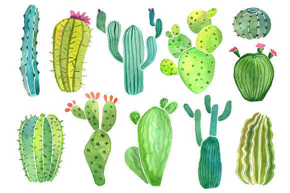 Watercolor cactus and succulent set in Objects - product preview 2