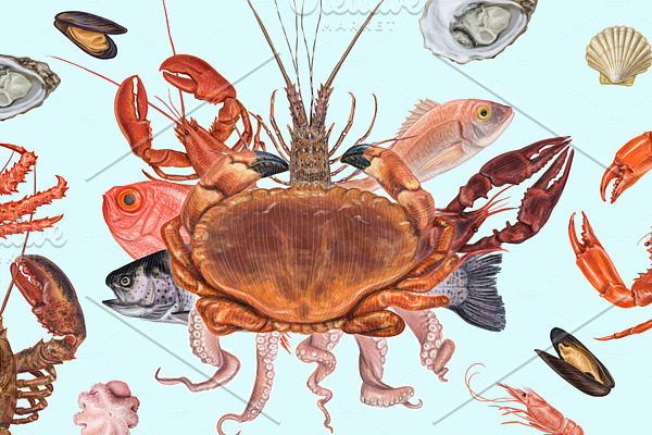 Yummy seafood illustrations