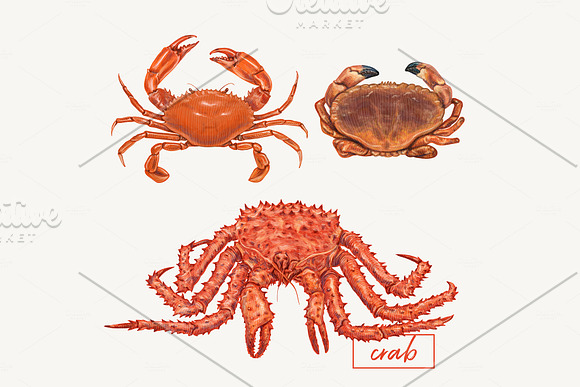 Yummy seafood illustrations in Illustrations - product preview 4