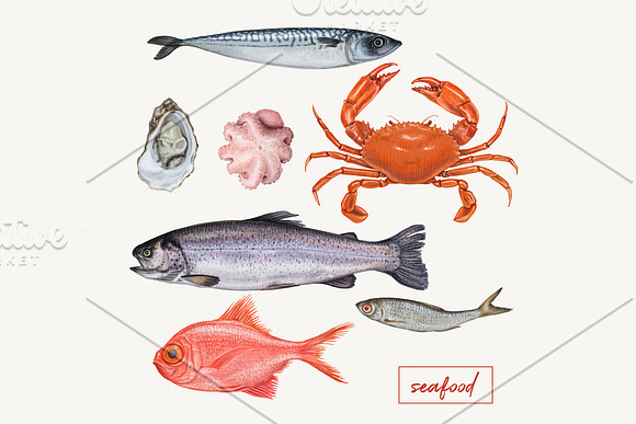Yummy seafood illustrations in Illustrations - product preview 6