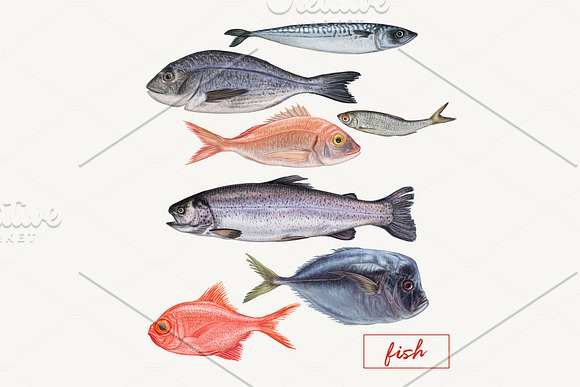 Yummy seafood illustrations in Illustrations - product preview 8