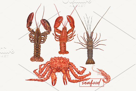 Yummy seafood illustrations in Illustrations - product preview 9