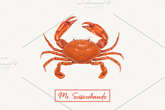 Yummy seafood illustrations in Illustrations - product preview 10