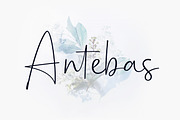 Antebas - Hand Display Script