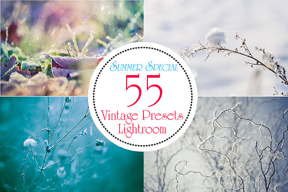 Spezial Bundle 55 LR Vintage Presets in Photoshop Plugins - product preview 3
