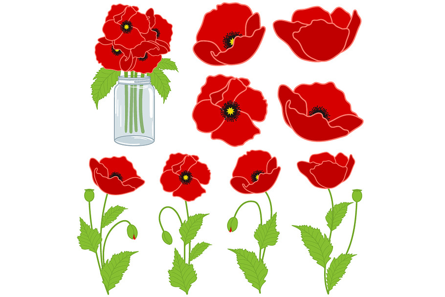 Red Poppies Set in Illustrations - product preview 8